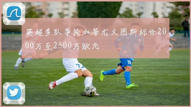 英超多队争抢加蒂尤文图斯标价2000万至2500万欧元