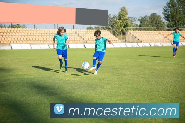 mksports网站平台生态图